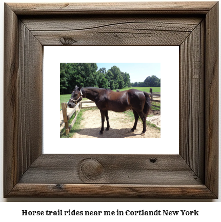 horse trail rides near me in Cortlandt, New York